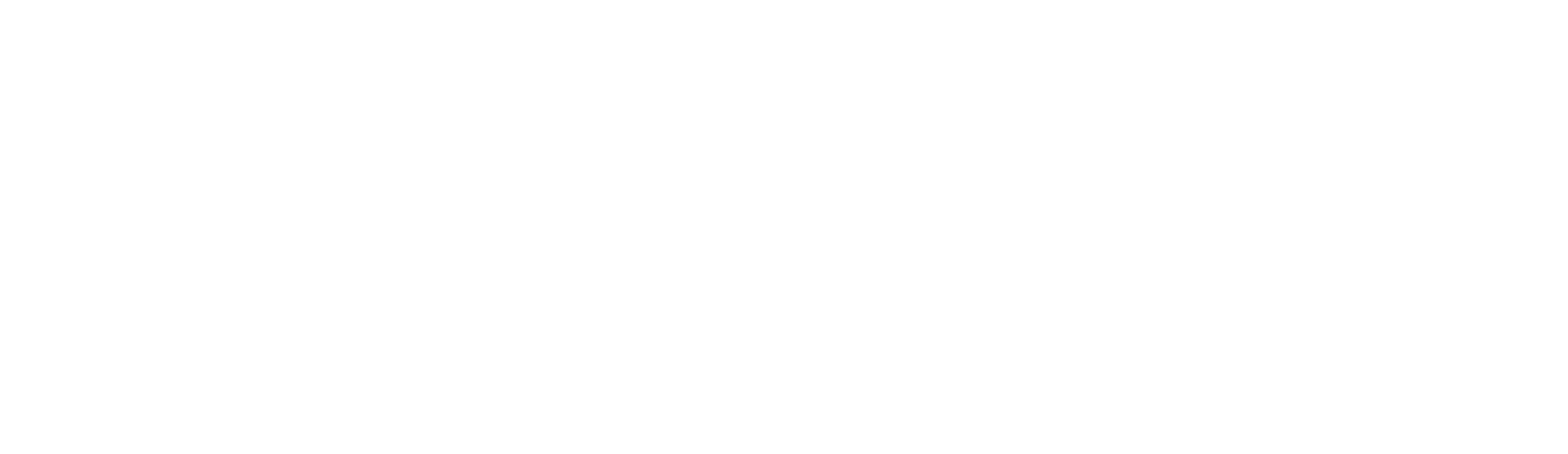 Weißes Schulte-Logo