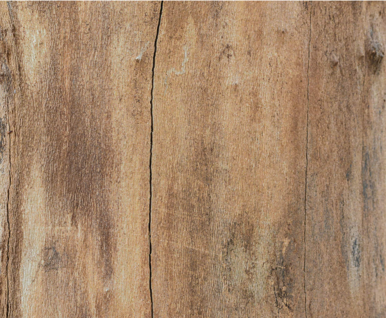 Nahaufnahme einer Holzplatte in kühlem Ton.